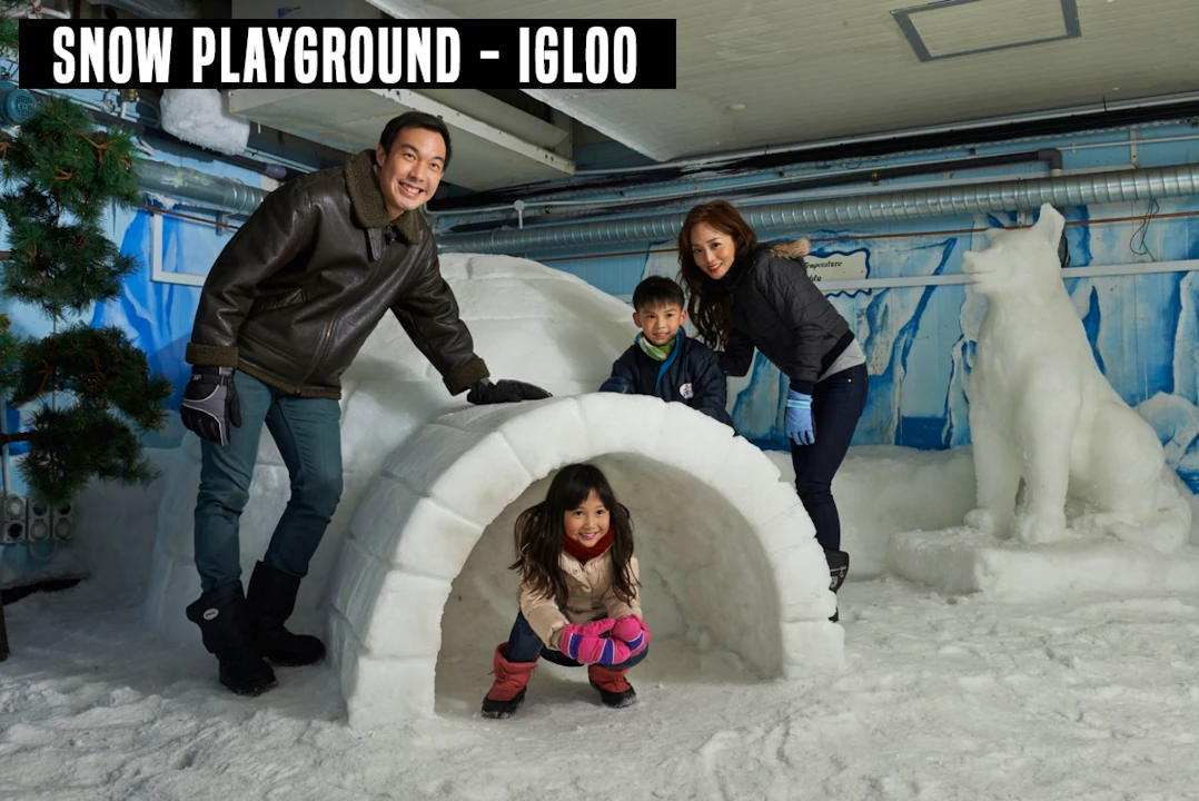 Snow City Singapore Ticket